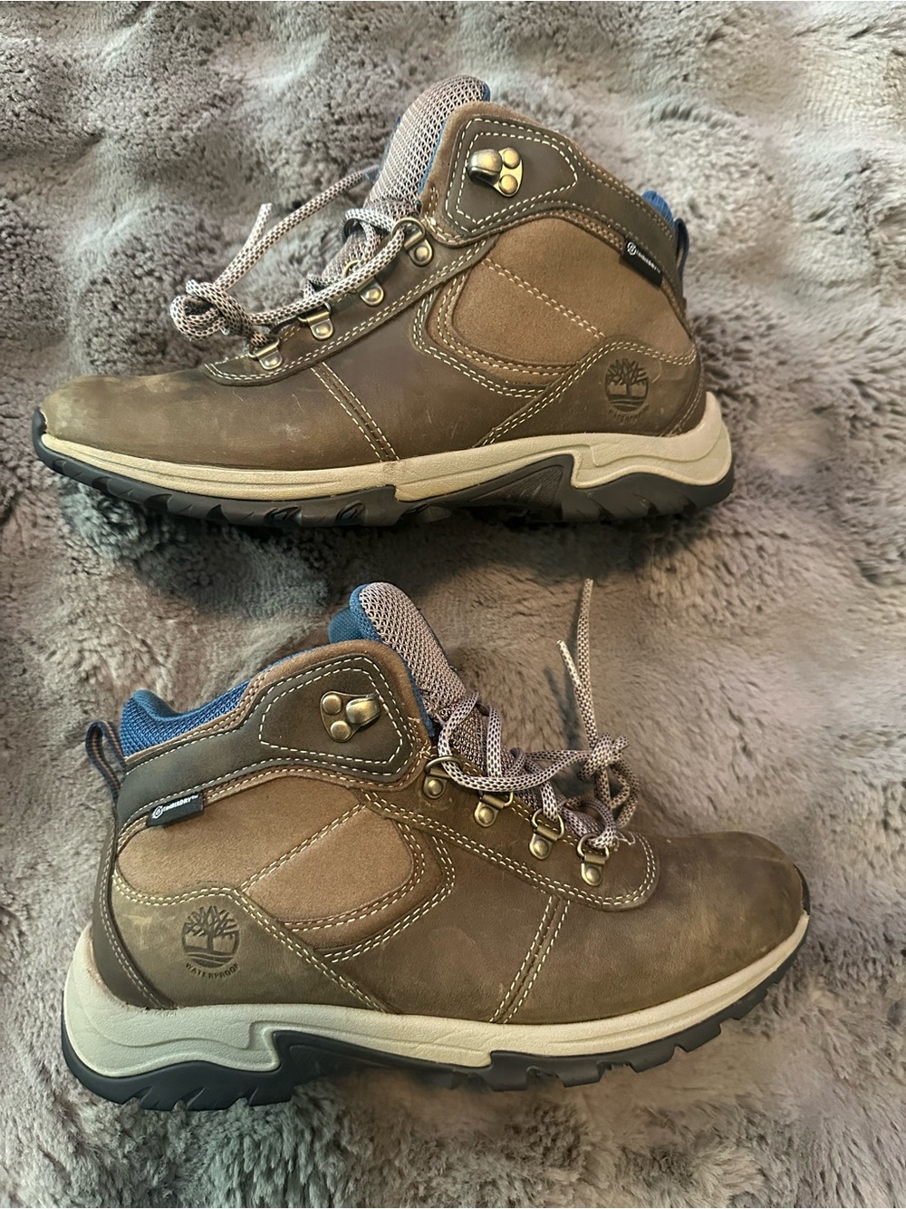 Women's Mt. Maddsen Waterproof Mid Hiking Boot